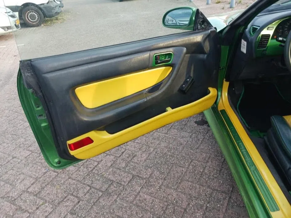 Dikke celica jonguh